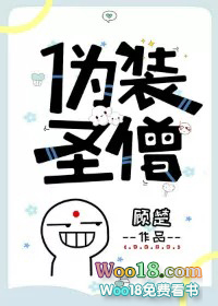 伪装圣女小说